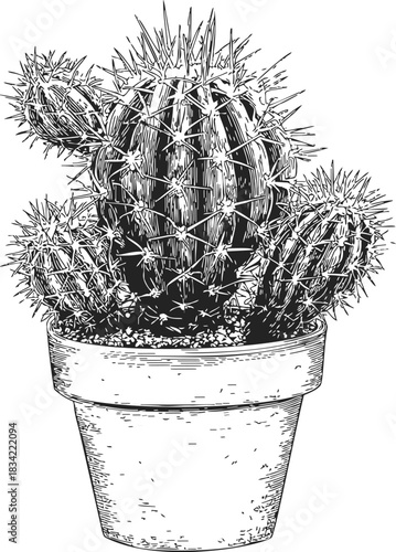 Cactus in pot sketch, hand drawn spiky succulent plant detailed line art. Vector illustration