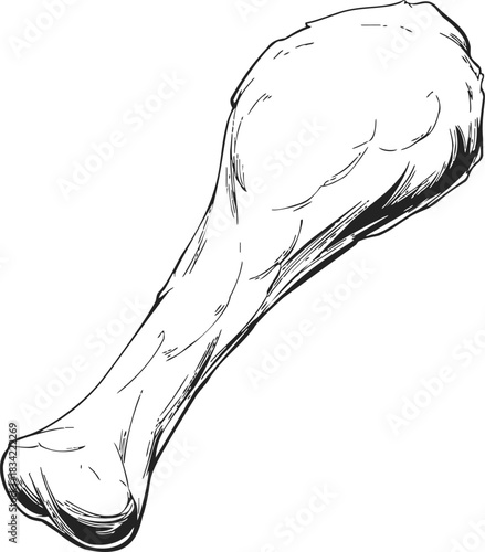Chicken drumstick sketch hand drawn style isolated on white background. Vector illustration