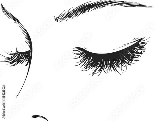Closed eyes sketch hand drawn with long eyelashes and eyebrow. Vector illustration