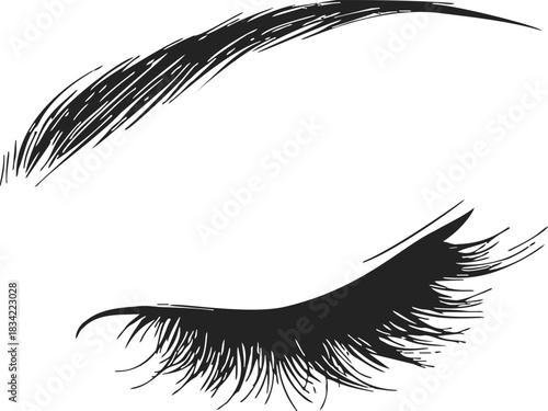 Eyelash and eyebrow sketch hand drawn style, closed eye beauty detail. Vector illustration
