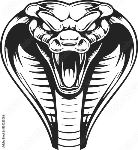 Cobra head sketch, hand drawn vector, aggressive open mouth, detailed hood. Vector illustration