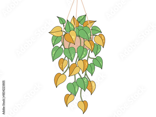  Hand drawn hanging pothos plant with variegated green and yellow leaves