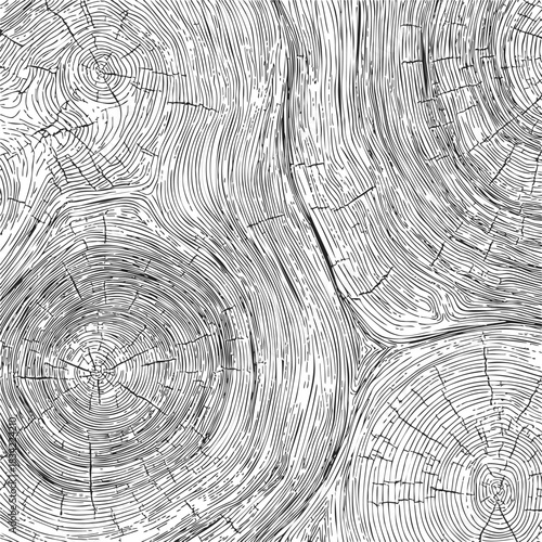 Tree rings seamless pattern, hand drawn sketch wood grain texture. Vector illustration