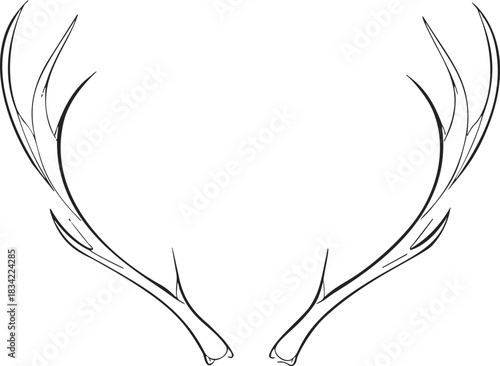 Deer antlers sketch hand drawn symmetrical outline isolated on white. Vector illustration