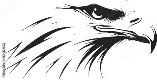 Eagle head sketch hand drawn style with intense gaze and sharp beak. Vector illustration