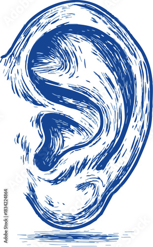 Ear sketch hand drawn style detailed blue line art illustration. Vector illustration