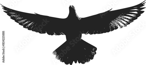 Bird silhouette sketch, hand drawn style with wings spread wide. Vector illustration
