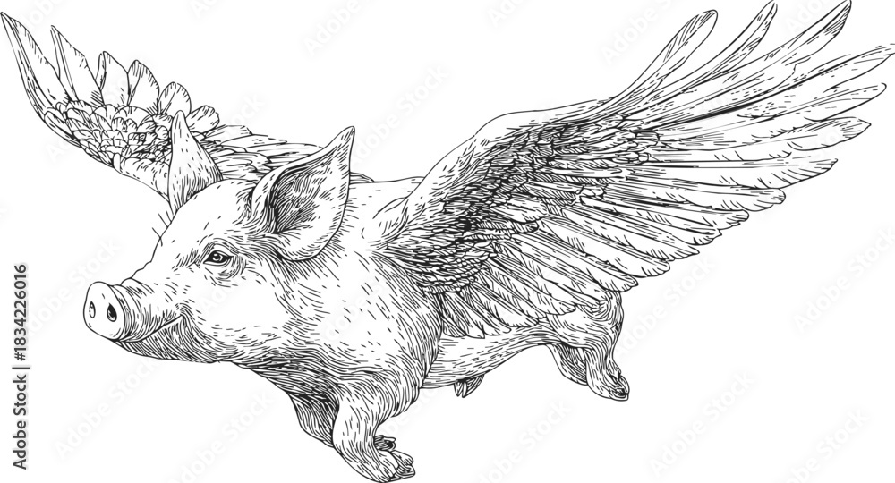 Fototapeta premium Flying pig sketch, hand drawn style, detailed wings, whimsical animal fantasy. Vector illustration