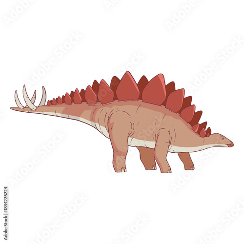 Stegosaurus dinosaur illustration