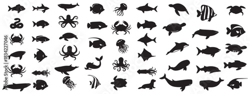 Collection of black silhouette illustrations of various marine animals including a whale dolphin shark manta ray jellyfish octopus squid sea turtle seahorse pufferfish clownfish lobster crab starfish.