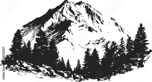 Mountain peak sketch, hand drawn conifer forest and rocky slope scene. Vector illustration