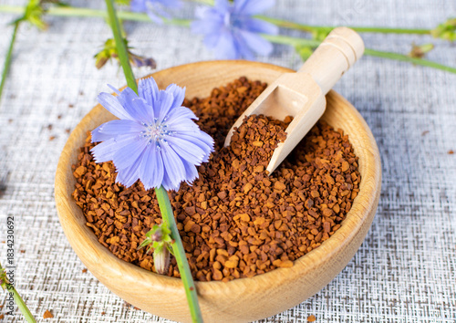 Ground chicory root on a wooden spoon and chicory flowers on a rustic wooden background. Alternative medicine. Healthy drinks. chicory drink