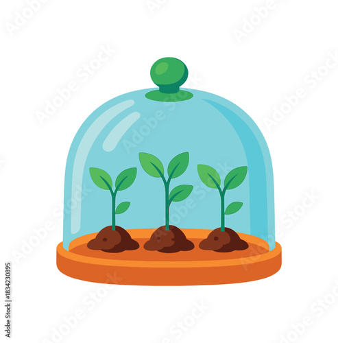 Flat vector illustration of bright balcony greenhouse cloche covering seedlings vivid transparent dome rounded shapes