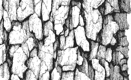 Tree bark sketch, hand drawn vector, rough cracked texture closeup. Vector illustration