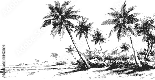 Palm trees sketch hand drawn tropical beach landscape with leaning palms. Vector illustration