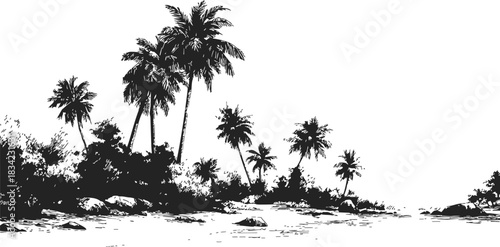 Palm trees sketch hand drawn tropical coastline with rocks and foliage. Vector illustration