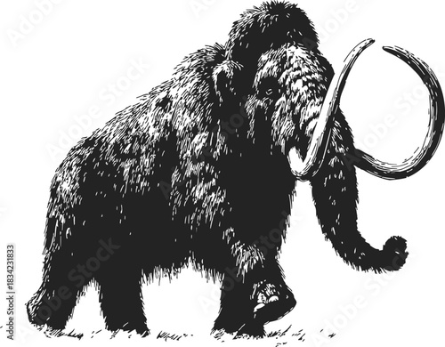 Woolly mammoth sketch, hand drawn vector, detailed fur and curved tusks. Vector illustration