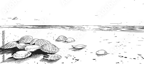 Seashells sketch hand drawn on sandy beach with ocean horizon. Vector illustration