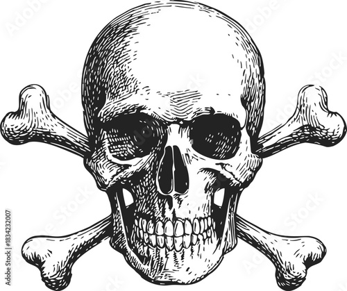 Skull and crossbones sketch, hand drawn vector illustration of human skull with crossed bones . Vector illustration