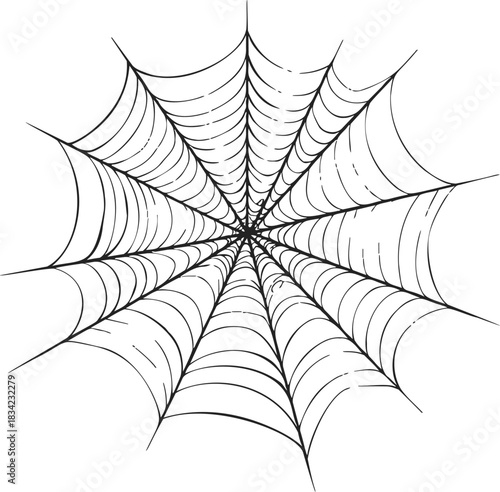 Spider web sketch hand drawn symmetrical radial lines on white background. Vector illustration