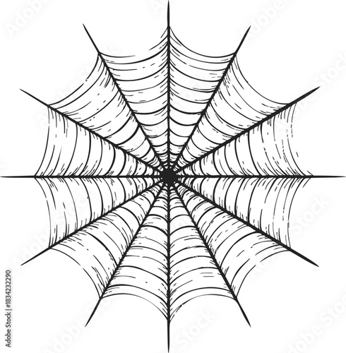 Spider web sketch, hand drawn vector, detailed symmetrical orb web structure. Vector illustration