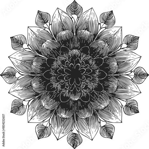 Mandala sketch hand drawn floral geometric pattern with detailed petals. Vector illustration