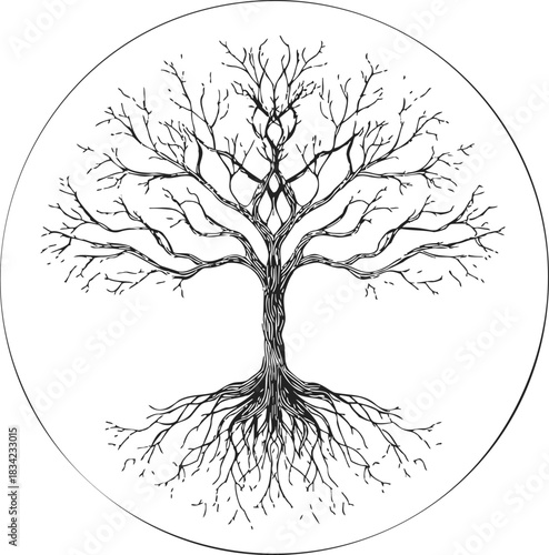 Tree with bare branches and roots, hand drawn sketch style in circle. Vector illustration