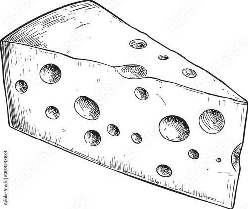 Cheese wedge sketch hand drawn with holes in detailed line art. Vector illustration