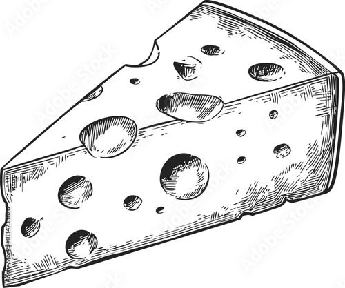 Cheese wedge sketch hand drawn with holes in detailed line art. Vector illustration