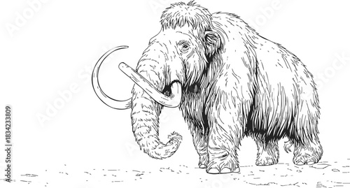Woolly mammoth sketch, hand drawn prehistoric animal with long curved tusks. Vector illustration