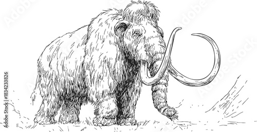 Woolly mammoth sketch hand drawn, detailed prehistoric animal with long curved tusks. Vector illustration