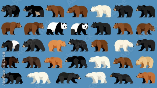 Diverse Bear Species - A Colorful Compilation of Bears.