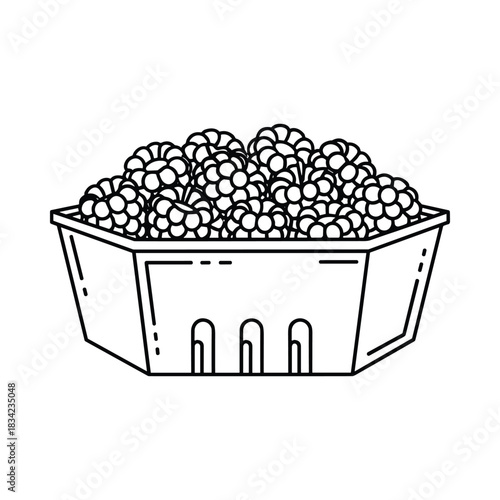 Black and white line drawing of a hexagonal cardboard basket filled with ripe raspberries