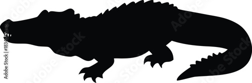 A close up view of a black and white cat s face with intense green eyes