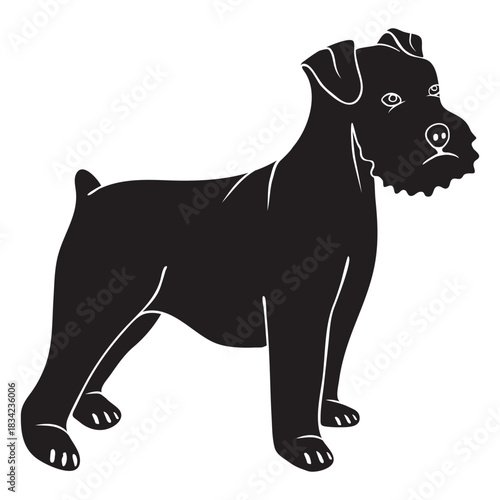 Schnauzer dog side black