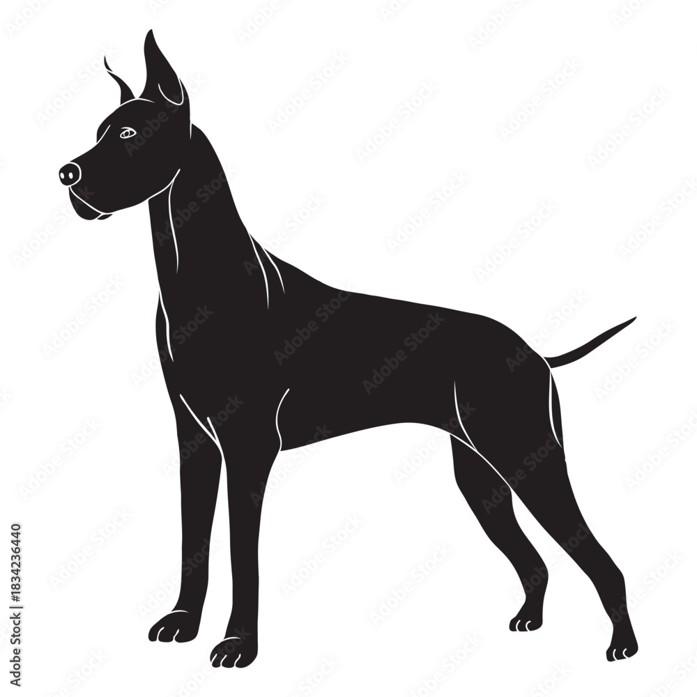 Obraz premium Great dane dog side black