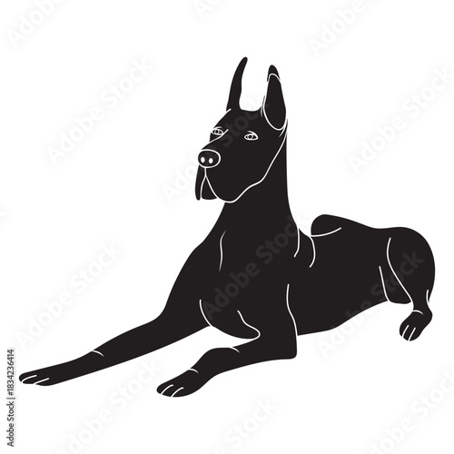 Great dane dog black