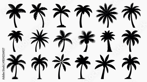 Collection of diverse black silhouette palm trees on a white background