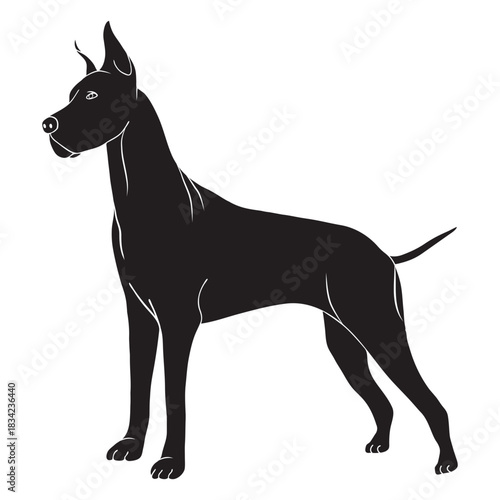 Great dane dog side black