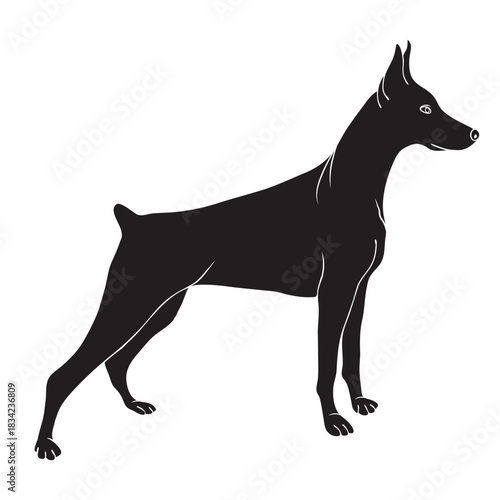 Side doberman dog black