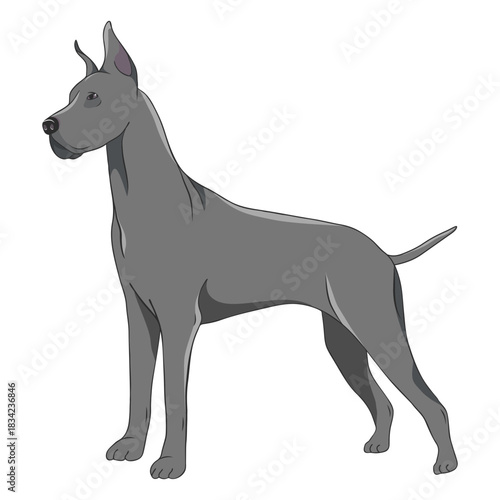 Side great dane dog illustration