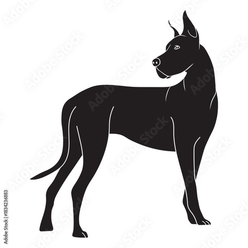 Side great dane dog black