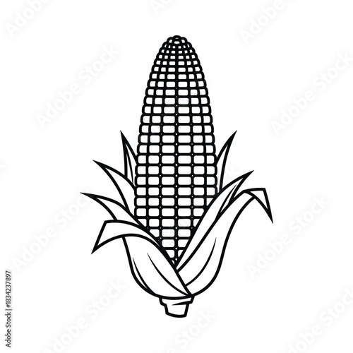 Black and white line drawing of a ripe ear of corn with husks