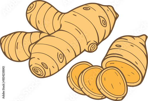 Flat vector illustration of ginger root, highlighting its natural shape and texture. Ideal for culinary, food, herbal, organic, and healthy lifestyle design projects.Keywords (15–50):
