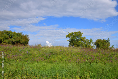 Countryside summer landscape with trees on a hill, Russia