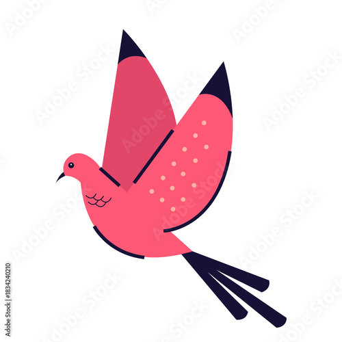 Pink pigeon illustration