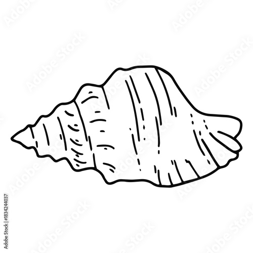 Seashell stroke