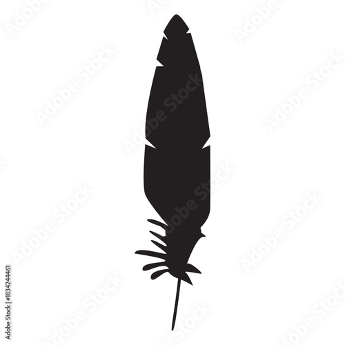 Bird feather silhouette