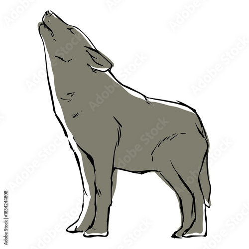 Howling wolf sketch