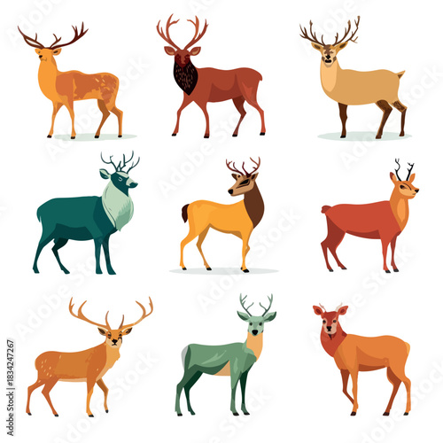 vector set of deer